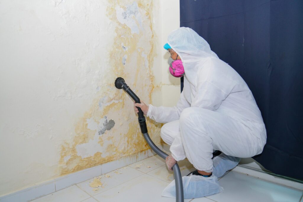 Mould Removal Service