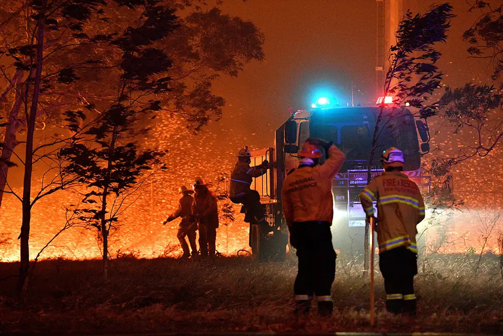 Bush Fire Service