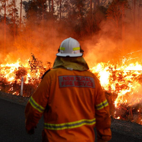 8acda24b-9aae-4b10-928e-a7bd4d9fe691